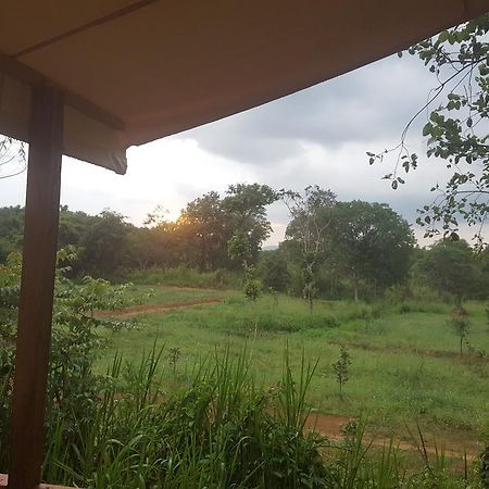 Asharo Sigiriya Villa Экстерьер фото