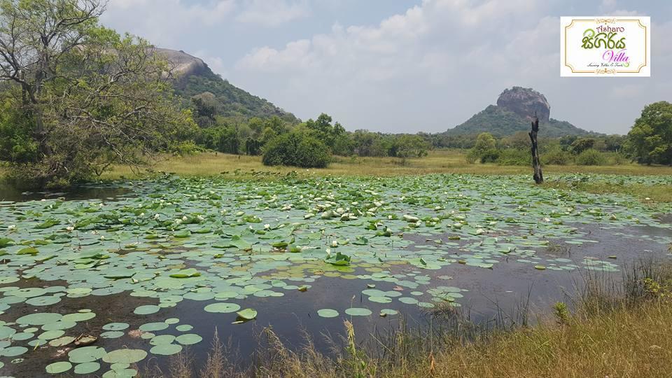 Asharo Sigiriya Villa Экстерьер фото