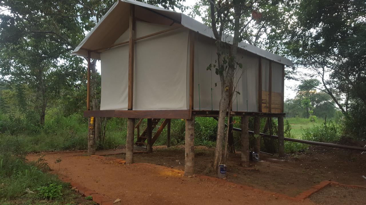 Asharo Sigiriya Villa Экстерьер фото